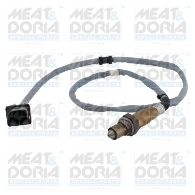 Oxygen Sensor